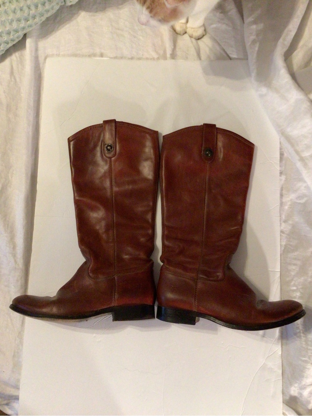 Frye Brown Leather knee high boots
